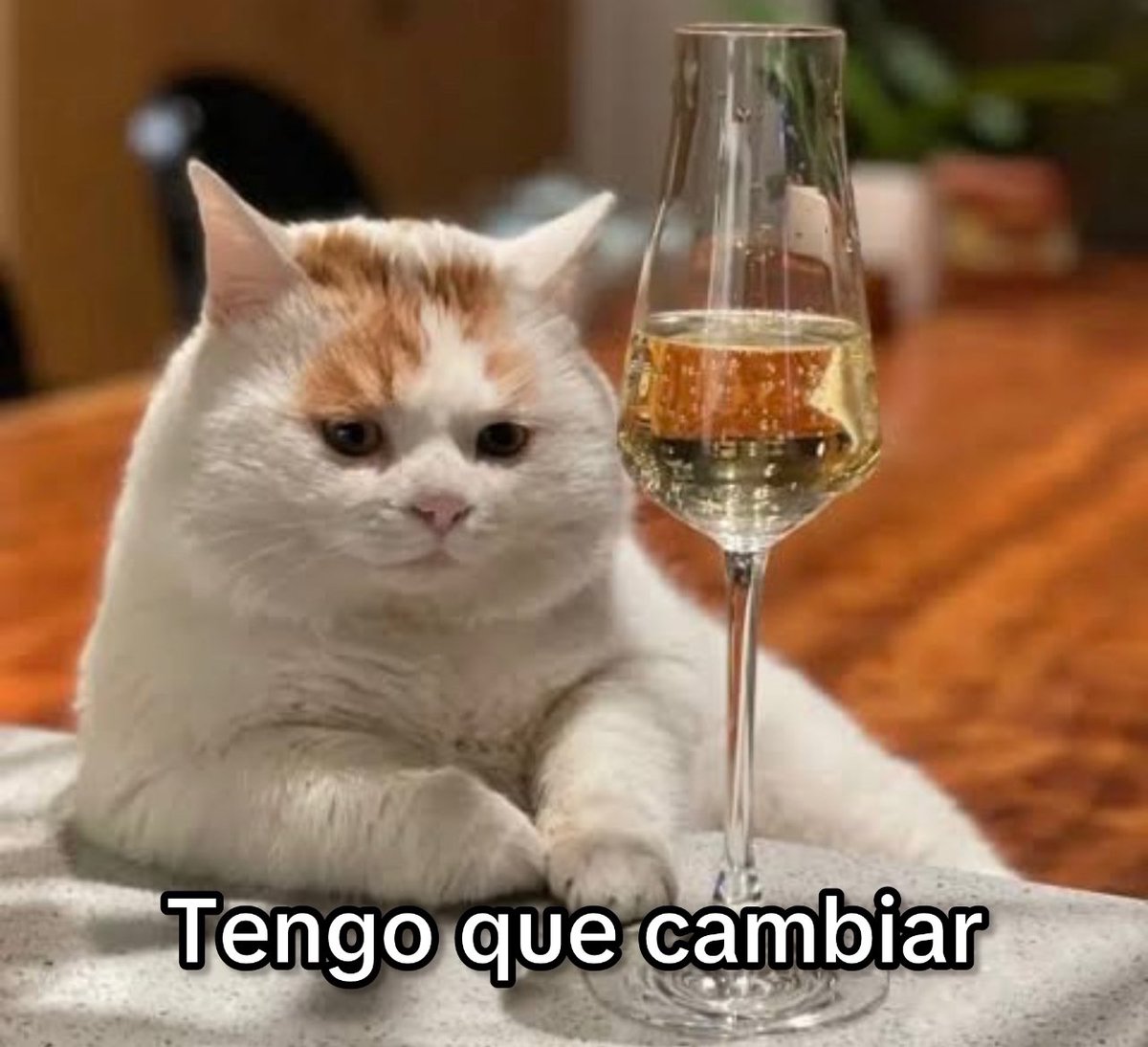 Guarromantico_'s tweet photo. Yo hoy a la medianoche cerrando ciclos: https://t.co/dyfwz7VUUb