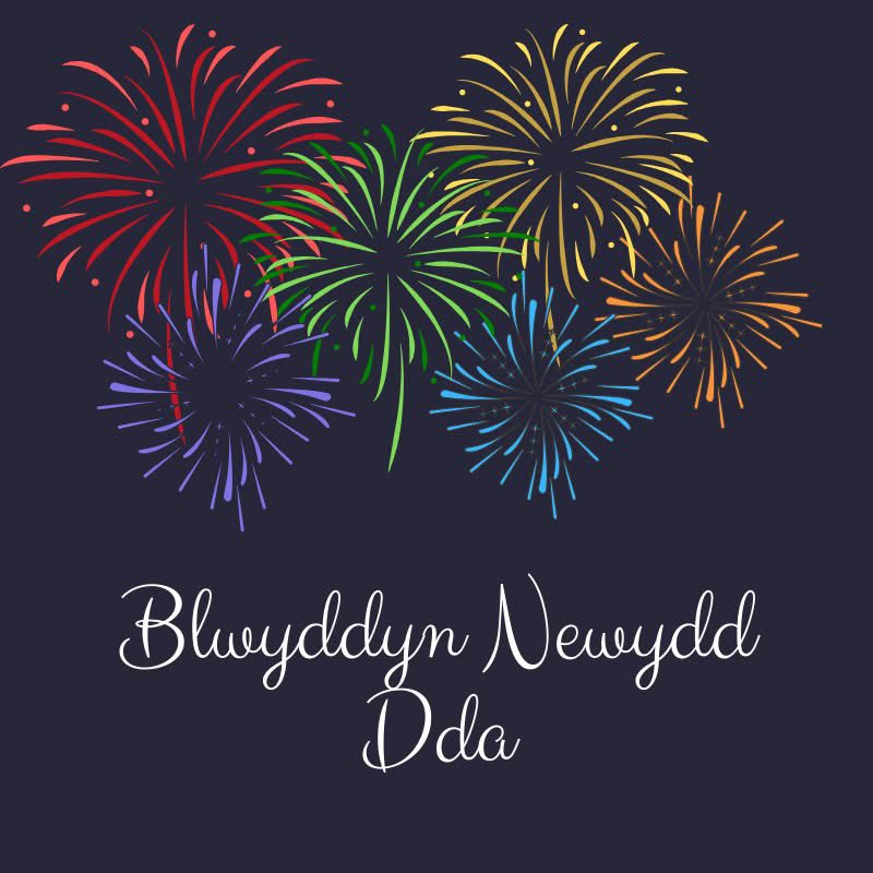 Blwyddyn newydd dda i deulu a ffrindiau! 
Happy new year to all my family and friends.

2025 is going to be about making more precious memories, being thankful and enjoying the good times!  ♥️🥰