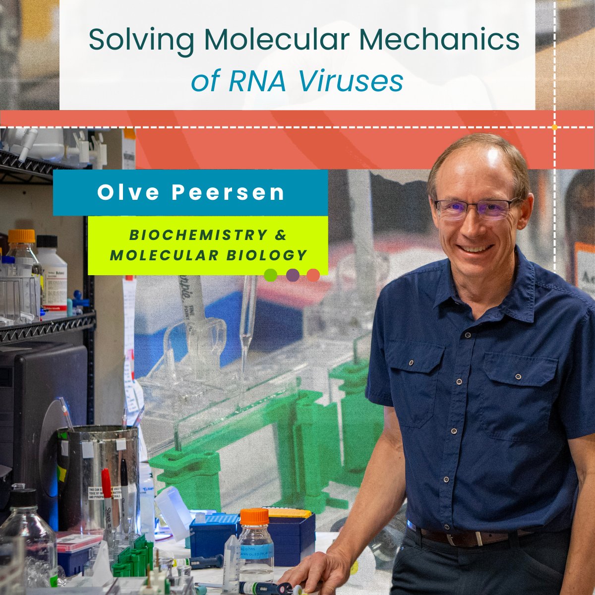 Have you ever come down with a virus 🦠? Probably🤧

Viruses infect and replicate in organisms such as humans and animals. Biochemistry and Molecular Biology Professor Olve Peersen looks to understand molecular mechanisms in viruses.

Read about his work: col.st/Yb297
