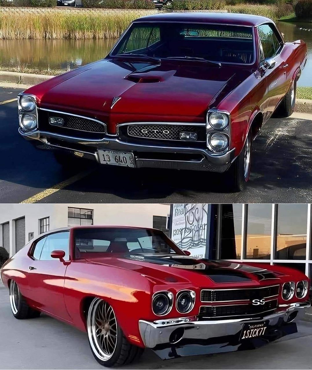 Top or Bottom 🤔