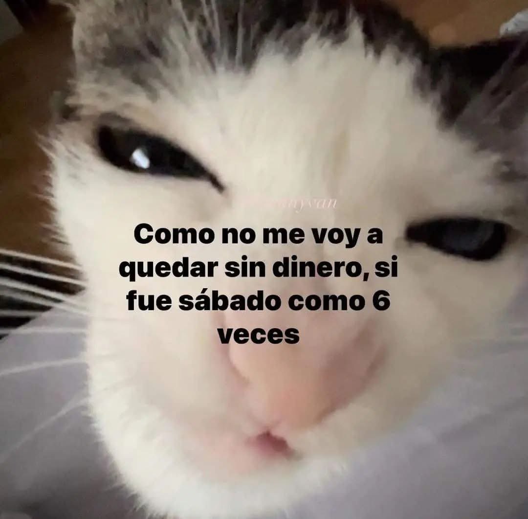 memes feos yo qué sé (@memefeos) on Twitter photo 
