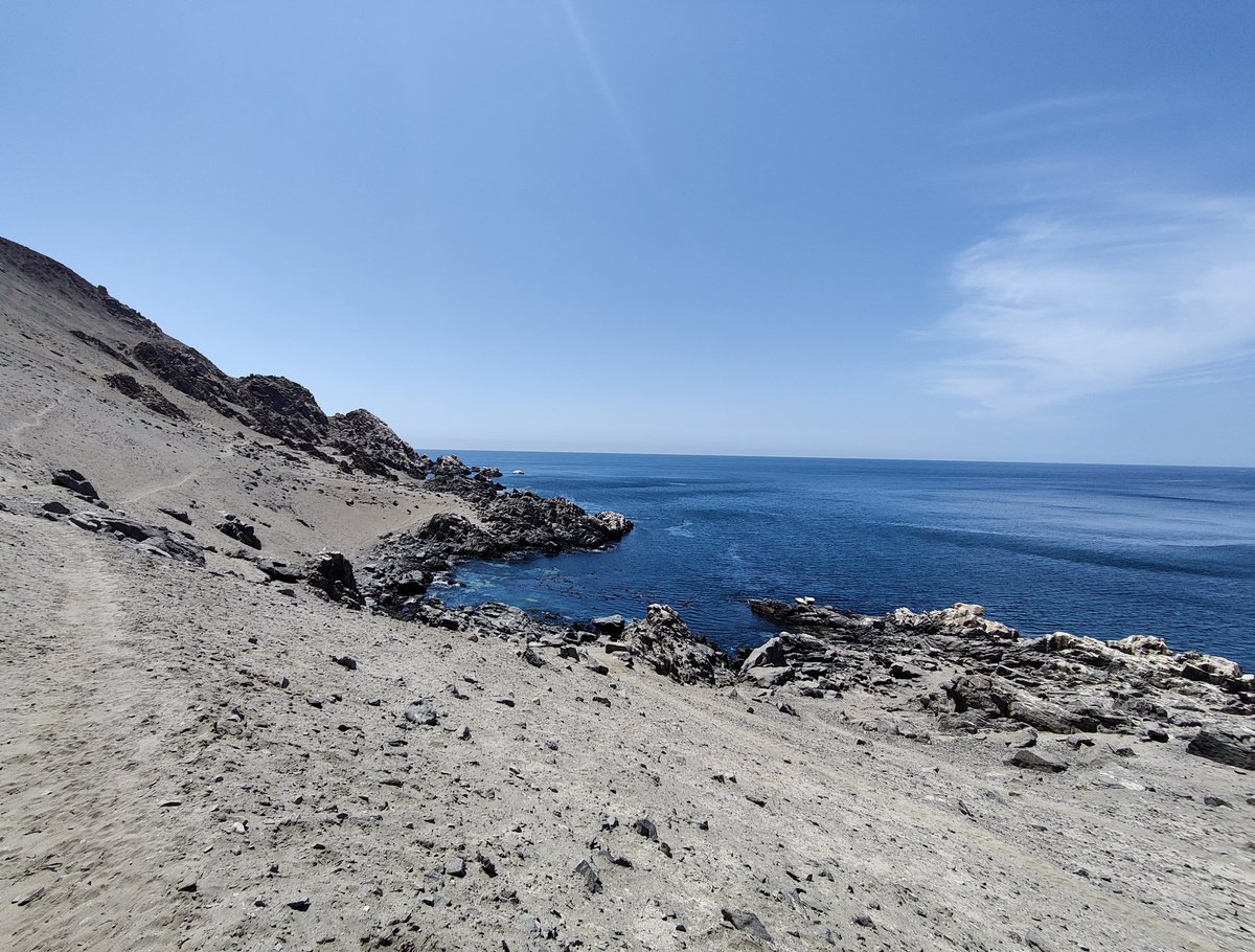 Maria Montt tweet media