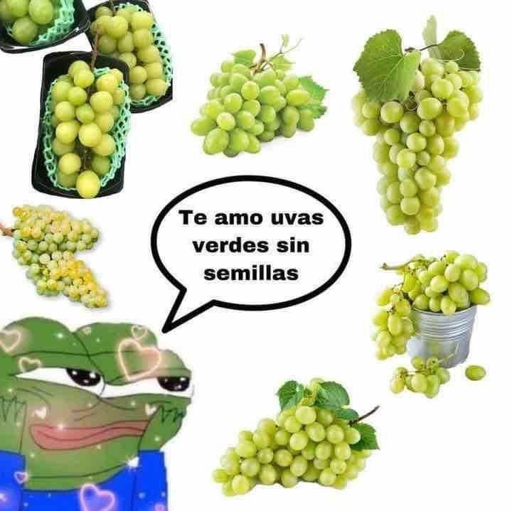 222 (@enbajoperfil_) on Twitter photo porfin un dia que se valoran las uvas, cariños mios yo os quiero todo el año porfin un dia que se valoran las uvas, cariños mios yo os quiero todo el año
