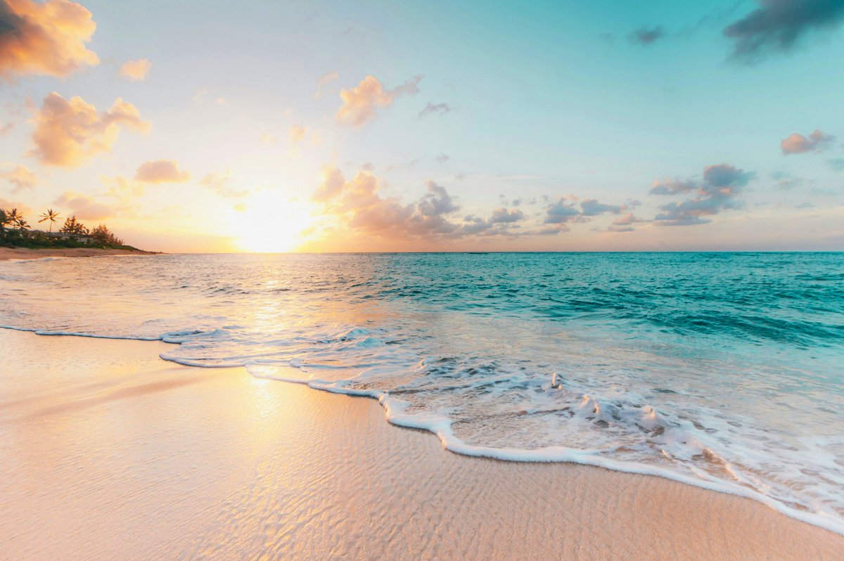 Gordana Biernat tweet media