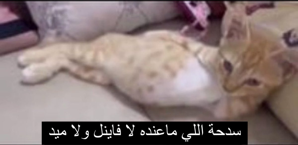 اوج (@7ysv_) on Twitter photo 