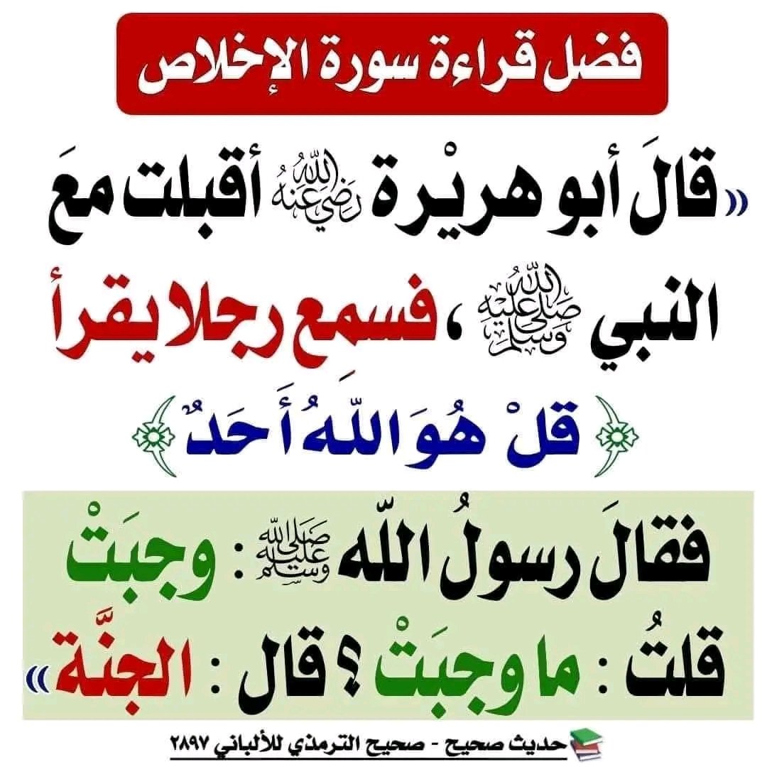 BougrabAdnane's tweet photo. https://t.co/wueGlB0v9X