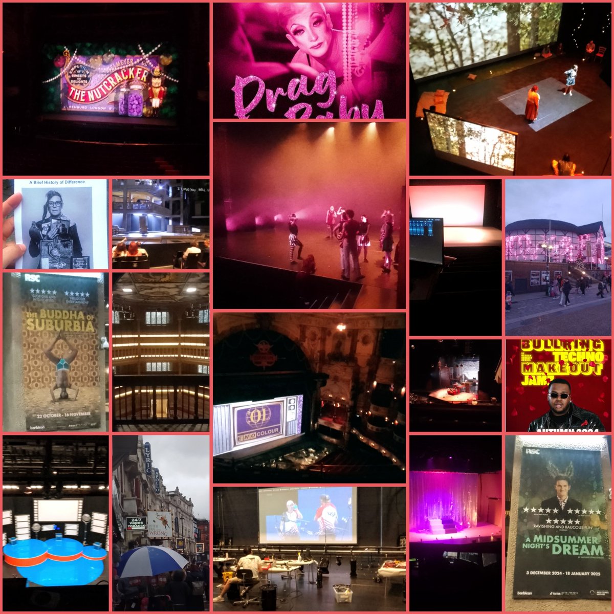 Bernadette Ward tweet media