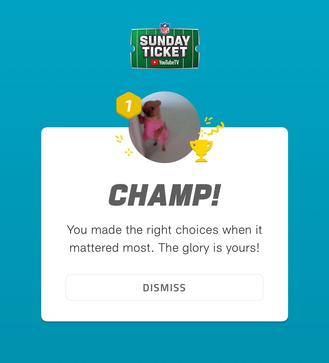 SmileyYYC's tweet photo. Thank you all for joining #SacksInTheCity #FantasyFootball ๐
#SuperBowlFantasyFootball
@SteveDoubleW @KevinJohnson72
@DeronDahl @TonyWingdog72 @Tverot @VenGoble @ScottTrent38903 @tdrichtdrich @mindofgoatdj
#NFLย Congratulations to me
๐ค๐ https://t.co/DvXFqTHyrv