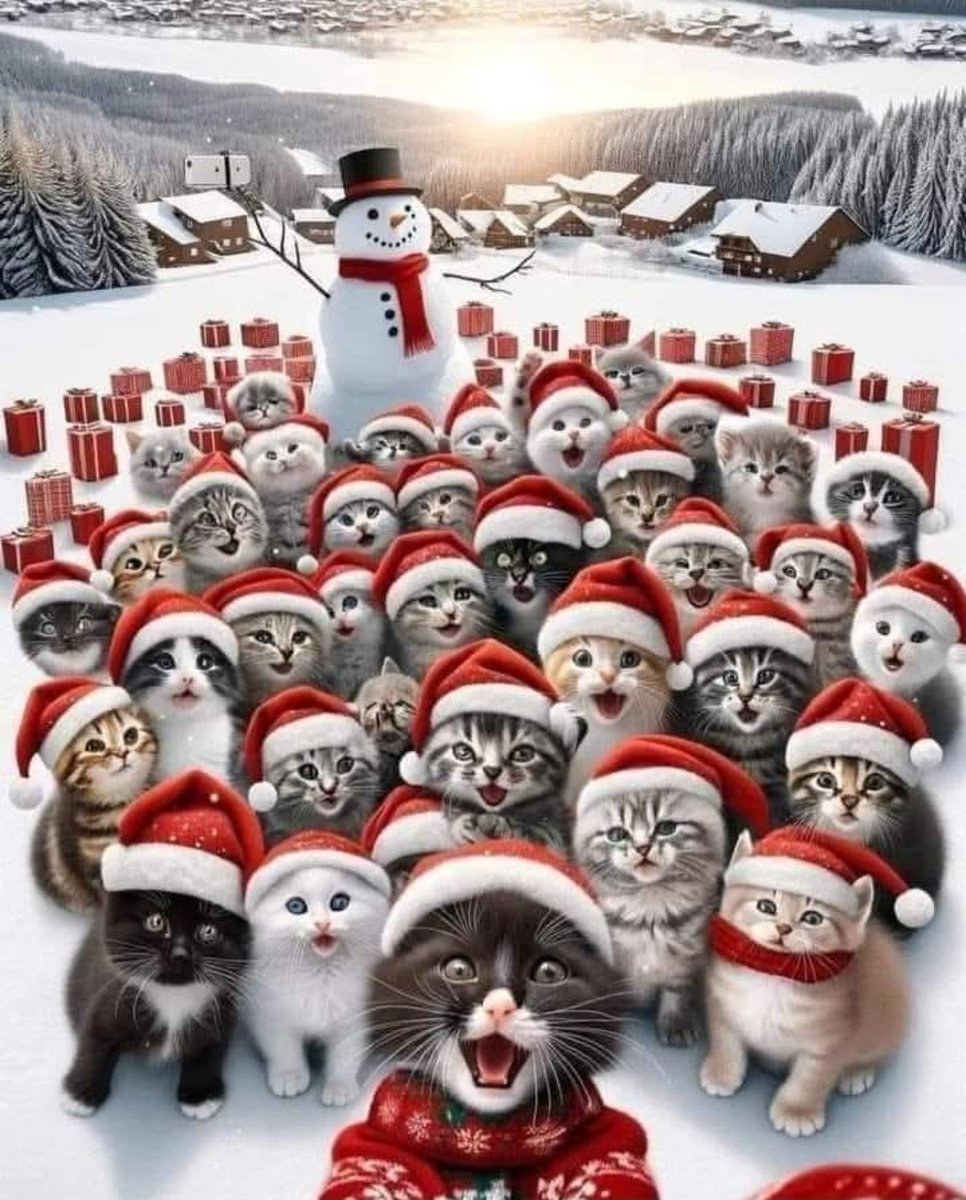 Oğuz (@ouz32019567) on Twitter photo 