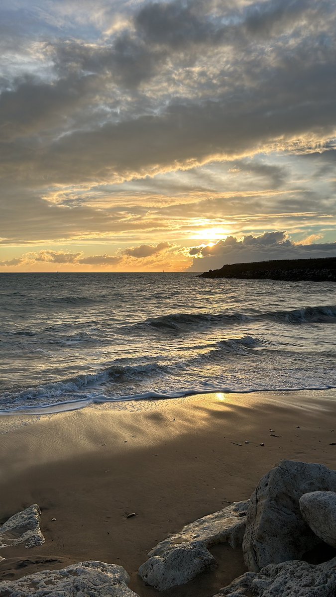 Frederique tweet media