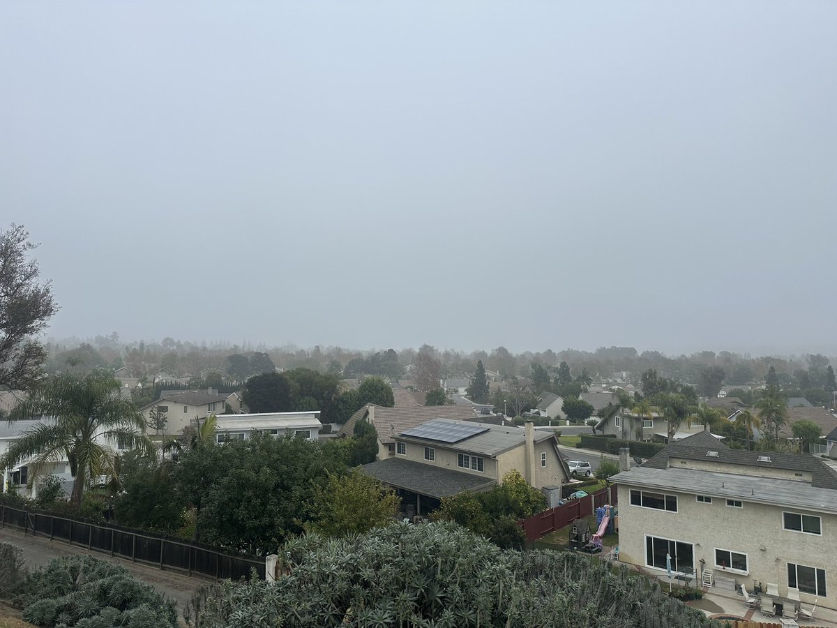 Dr. Refugio Gracian tweet media