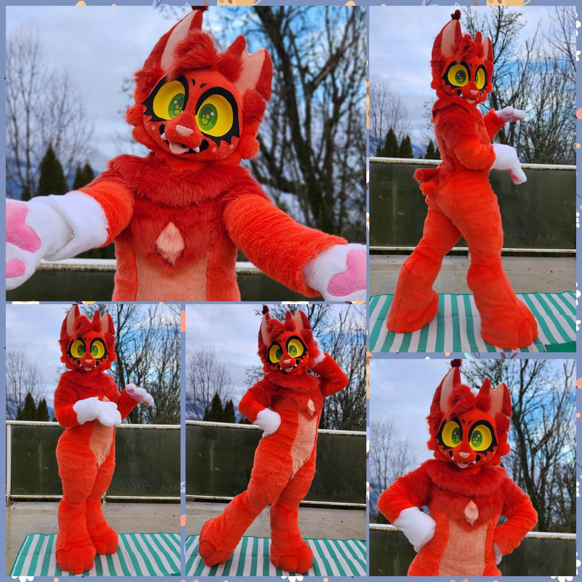 heckhoundzstudi's tweet photo. Small but fiery, Squirrelflight is joining the Heckhoundz family!! She's a slim digitigrade bodysuit and head, to be completed and owned by @NaritaCoree

#warriorcats #squirrelflight #kemonofursuit #warriorcatsfandom  #digitigradefursuit https://t.co/h7uYBd4sNN