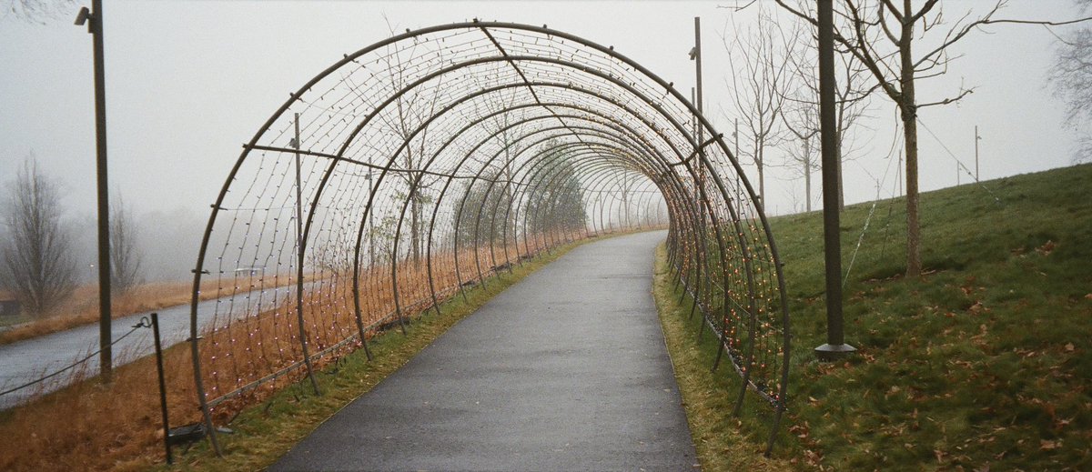 Chrnaturephotos's tweet photo. Panoramic shots from Longwood Gardens.
#panoshots #panoramicphotography #panophotography #35film #heylomography #lomo400 #minolta #filmphotography
π· Minolta Freedom Zoom 140EX
ποΈ Lomography Lomo 400 https://t.co/82ced9XscV