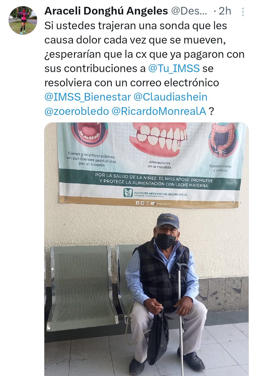 Araceli Donghú Angeles tweet media