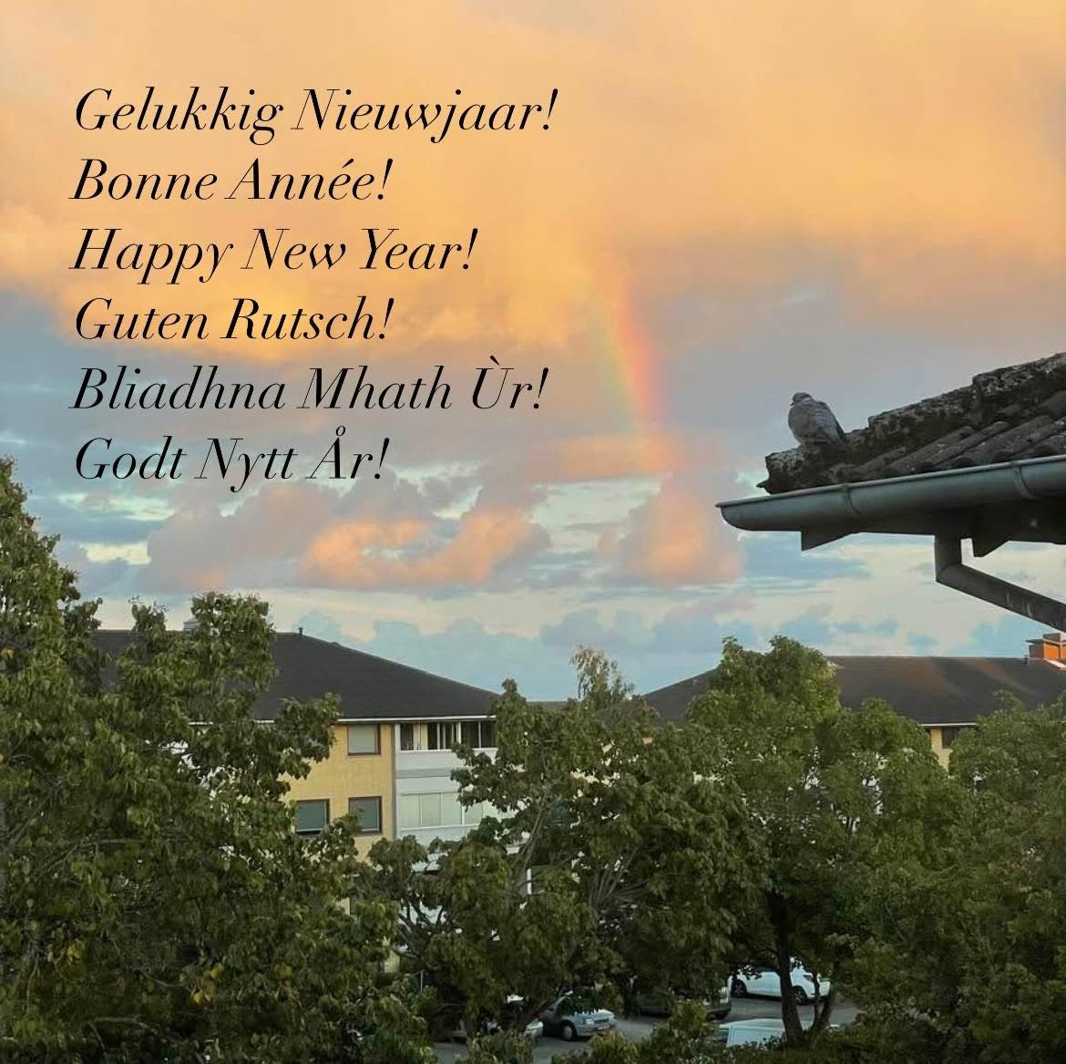 De Nijs Dirk (@denijsdirk) on Twitter photo 