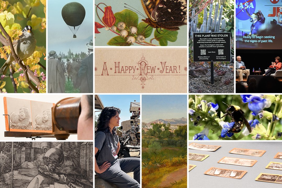 The Huntington (@thehuntington) on Twitter photo From Eve Babitz to native plants, we invite you to revisit our favorite Verso stories from the year! 🥂🍾 bit.ly/40iaK2h From Eve Babitz to native plants, we invite you to revisit our favorite Verso stories from the year! 🥂🍾 bit.ly/40iaK2h