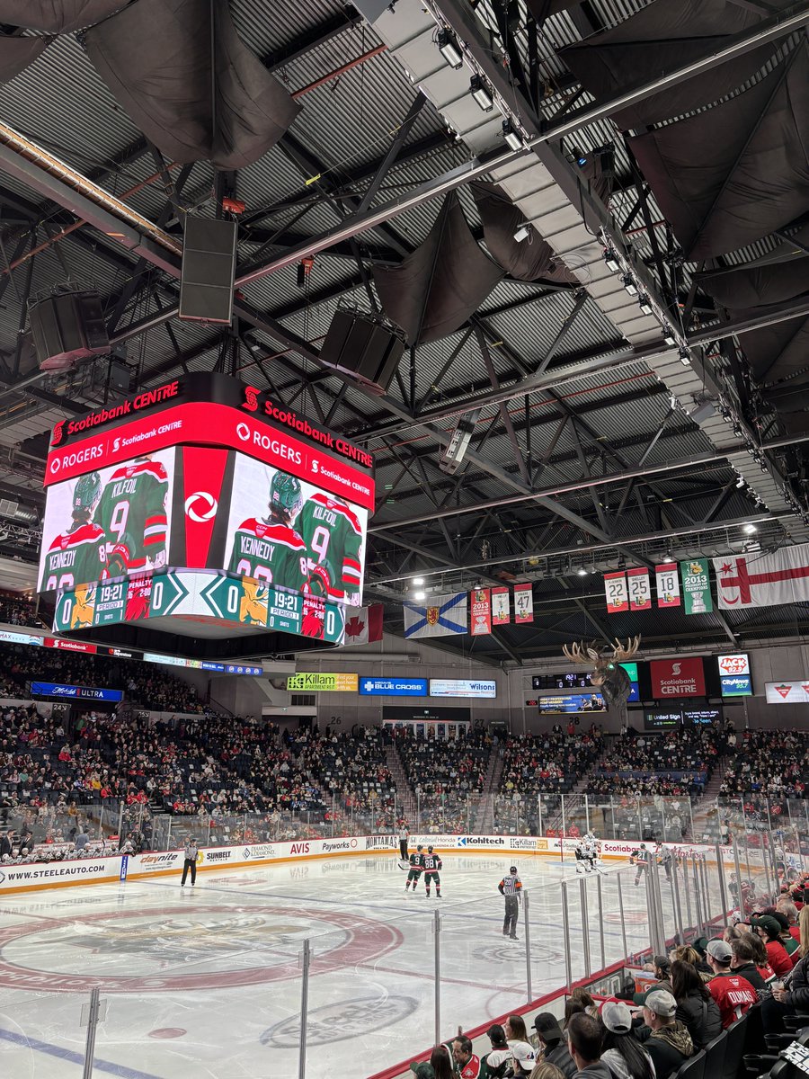 alangdon17's tweet image. happy new year! #GoMooseGo