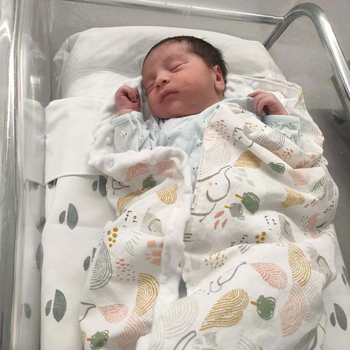 HinchaBilbaino's tweet photo. Despedimos el año recibiendo con los brazos abiertos a #Guim, hijo de nuestro contertulio @QuimRuizZorita. Sigue creciendo la familia de #HinchaBilbaino. No podemos estar más contentos. #Salud para Guim... y su santa madre ¡Enhorabuena amig@s! #AñoViejo #AñoNuevo #Nacimiento https://t.co/7tpa4xHqSZ
