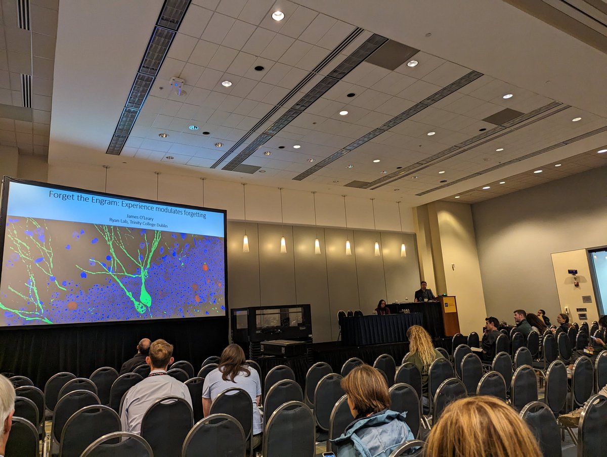 TJRyan_77's tweet image. It was presented at #FENS2022 in Paris &amp;amp; #SFN23 in Washington DC. 

First published @biorxivpreprint in 2023. After positive peer review at another journal, we went to the new model at @eLife. We found the process fair, transparent, rigorous &amp;amp; valuable. 

x.com/biorxiv_neursc…