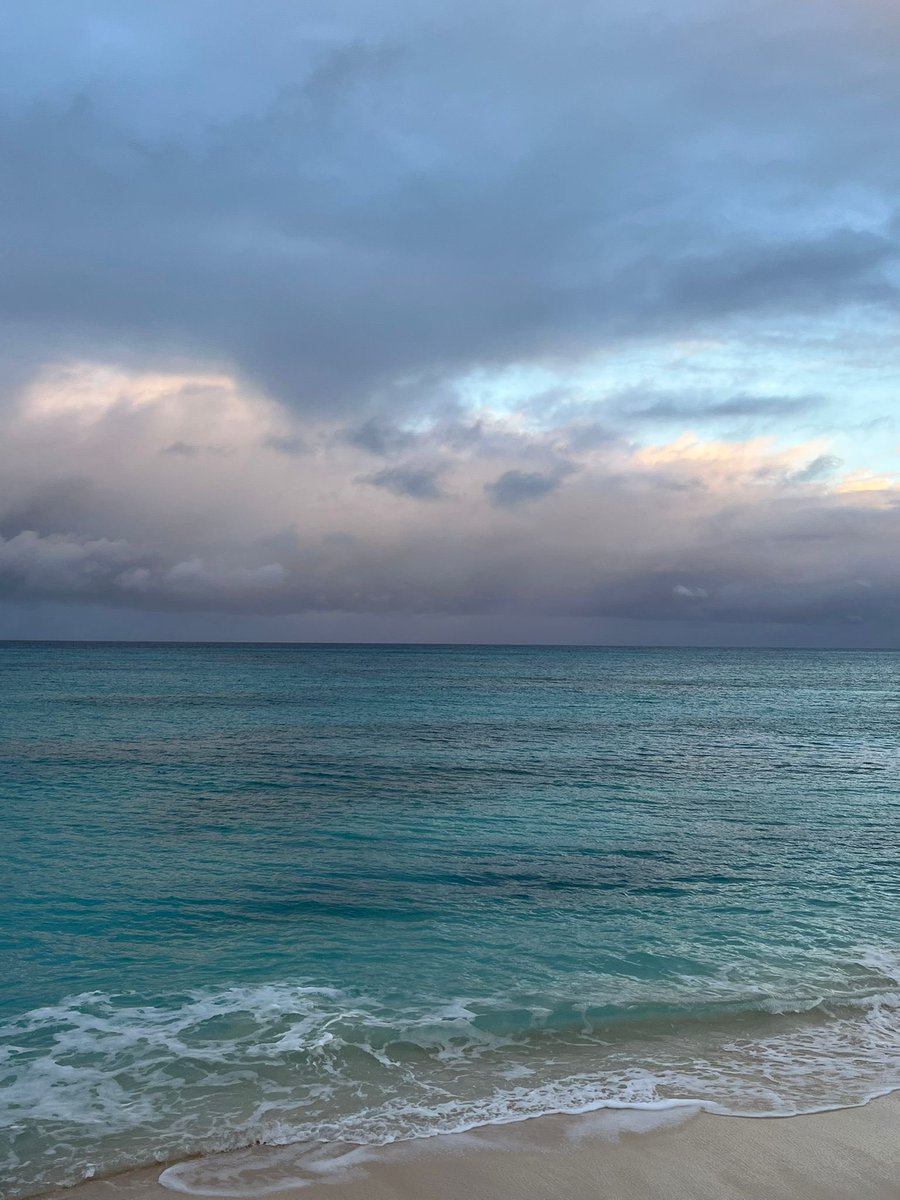 SaveInsectsA's tweet photo. Ringing in the new year in sunny #turksandcaicos ! Wishing a #happy and #joyous 2025 to all!! 🌊🏝️🦋
#newyear #2025 #happynewyear #happyholidays #beautifulbynature https://t.co/iyGbaoTctW