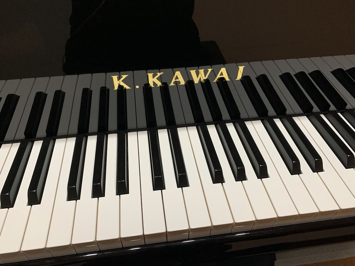 kamuiy's tweet image. #にゃんピアーノ 2025年の目標・課題🍀

🎹1. バッハ シンフォニアへの突入
現時点でインヴェンションの13番を練習中。
1番～15番すべてにおいて、
　・デュナーミク（音の強弱）
　・アゴーギク（テンポの変化）
　・アーティキュレーション（音と音のつなぎ方）
　・装飾…