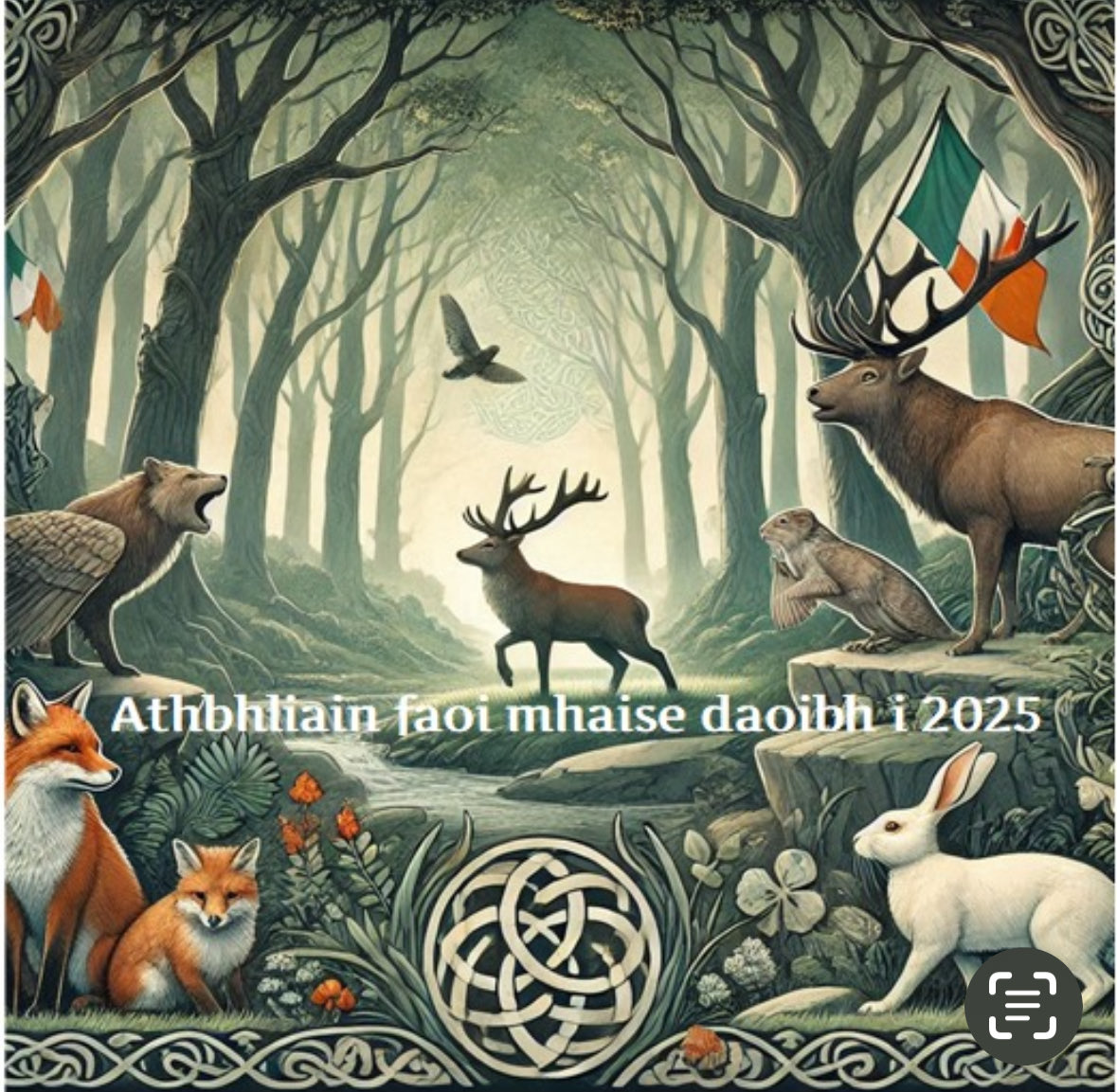 Mairead Ni Mhaonaigh (@carraigfinn) on Twitter photo 