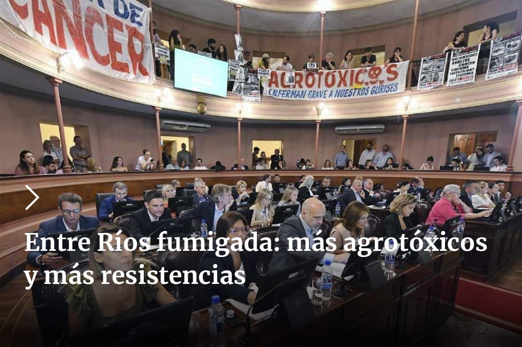Agencia Tierra Viva (@tierra_viva_) on Twitter photo Con el respaldo del gobernado Frigerio, la Legislatura de Entre Ríos aprobó una ley que permite fumigar a diez metros de las casas. Contra el principio de no regresión ambiental, el Poder Judicial falló a favor del uso del glifosato. ‼️☠️
✍️<a href="/anabelpomar/">Anabel Pomar</a>
➡️bit.ly/3PgLpiM Con el respaldo del gobernado Frigerio, la Legislatura de Entre Ríos aprobó una ley que permite fumigar a diez metros de las casas. Contra el principio de no regresión ambiental, el Poder Judicial falló a favor del uso del glifosato. ‼️☠️
✍️<a href="/anabelpomar/">Anabel Pomar</a>
➡️bit.ly/3PgLpiM
