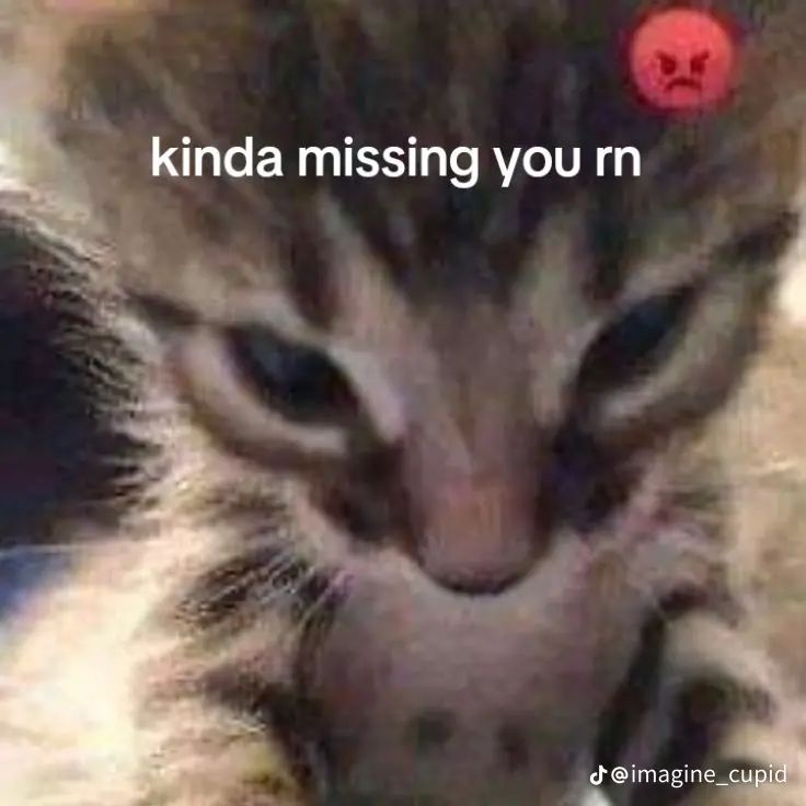 gwmmma's tweet image. 