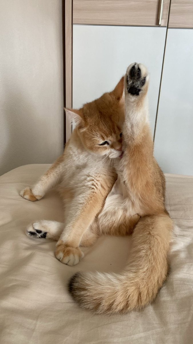 hediyeme bakın 🥺❤️