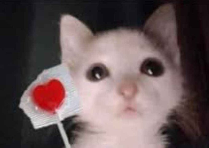 i miss streaming i miss dubbing hentai i miss making asmr i miss being dumB on the internet for attention