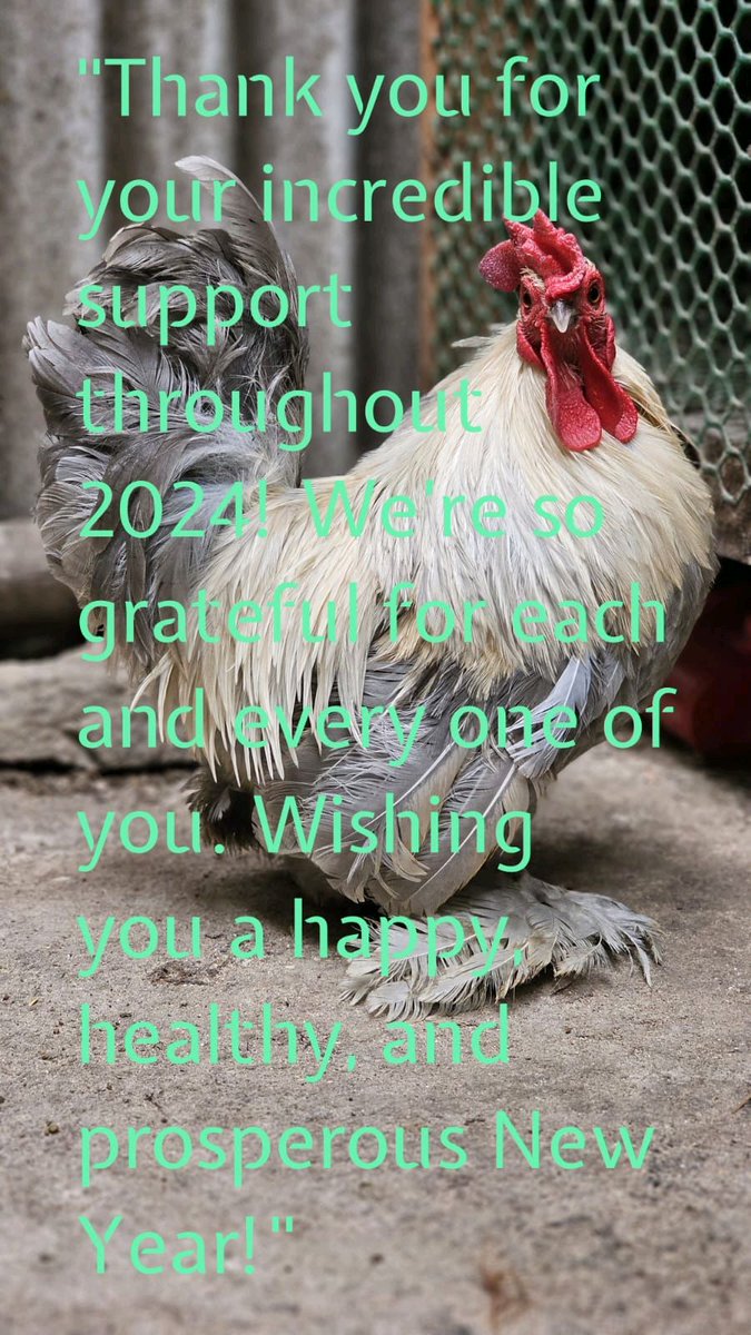 Thank you for your incredible support throughout 2024! 🙌 Wishing you all a happy, healthy, and prosperous New Year! 🎉🐔 #Gratitude #NewYear2025 #HappyNewYear