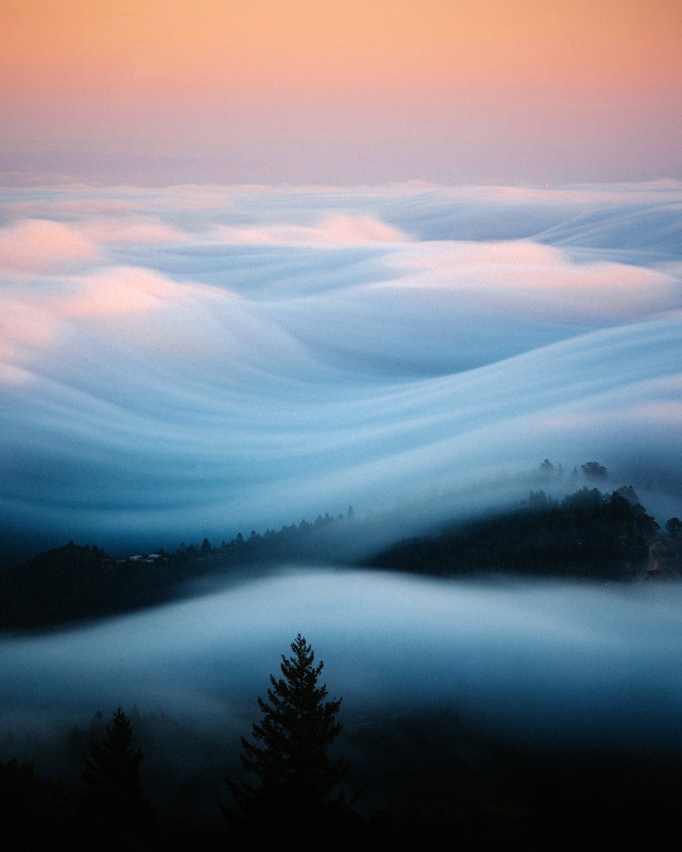 My favorite photos of 2024