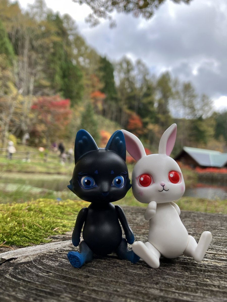 tatsuki_toya's tweet photo. 明けましておめでとうございます🎍
今年もよろしくお願いしますm(_ _)m https://t.co/eoMDeshAj2