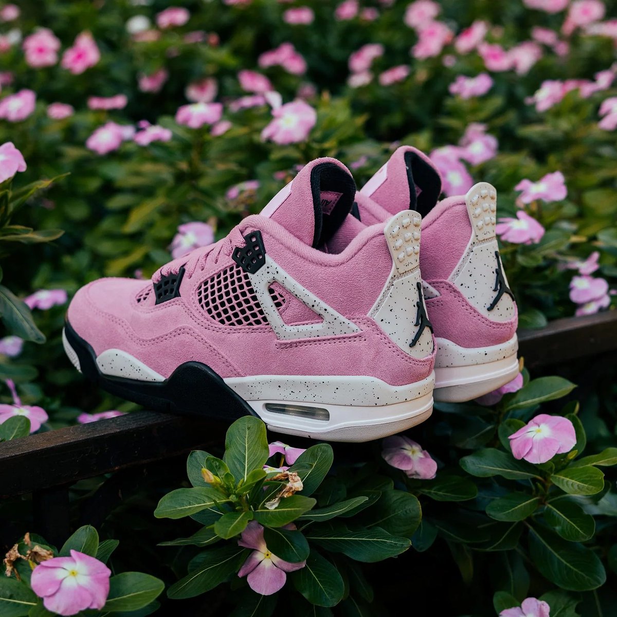 JustFreshKicks's tweet photo. Potential SOTY? 🌸 https://t.co/bfu1yD6mZY
