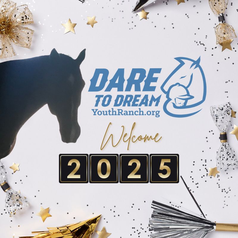 Welcome 2025! We look forward to all the young lives that will be changed through the power of horses and the spirit and guidance of our volunteers! Have a wonderful and prosperous new year!