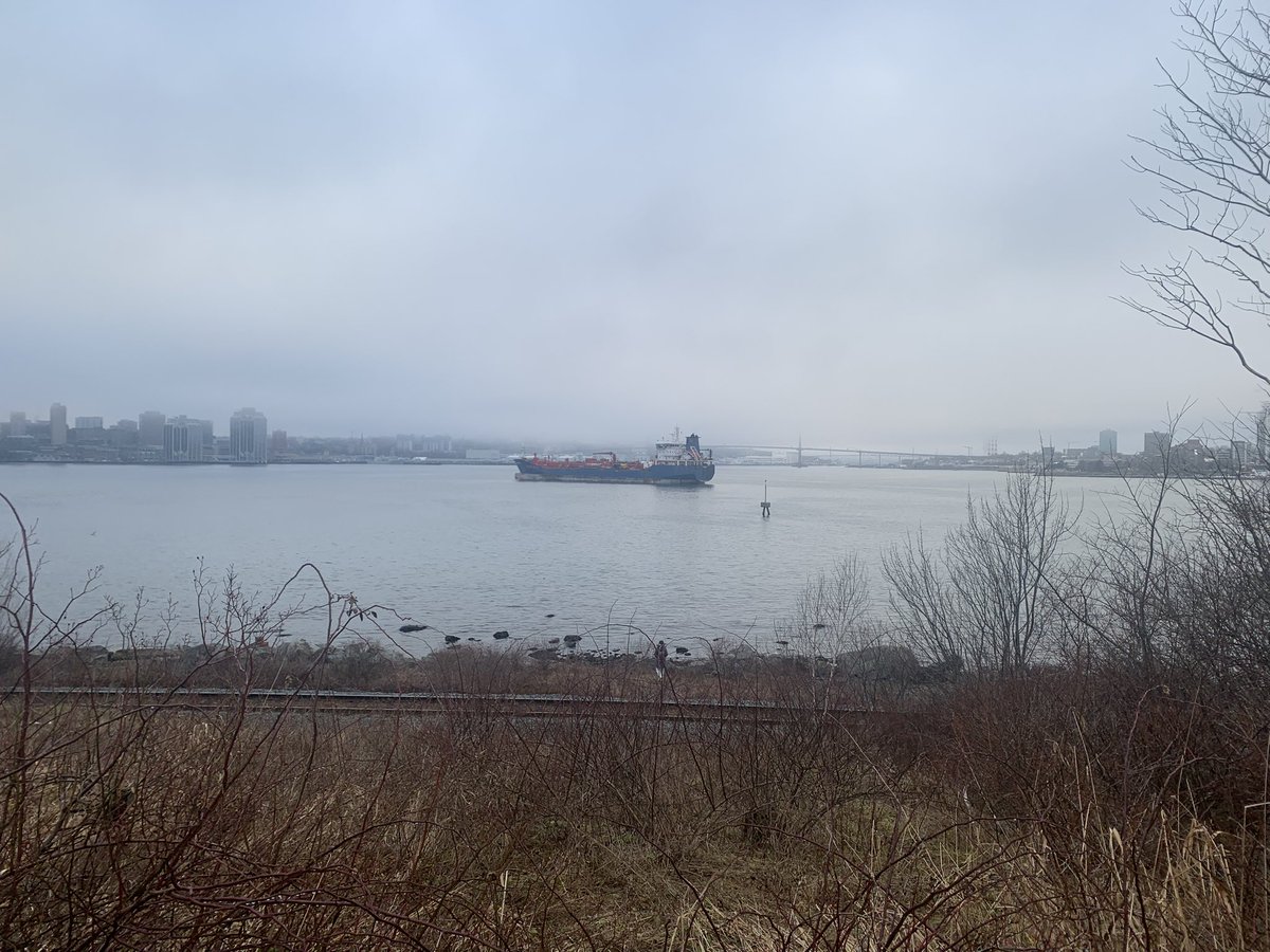 Classic Halifax (or, “Dartmouth has the better view”)