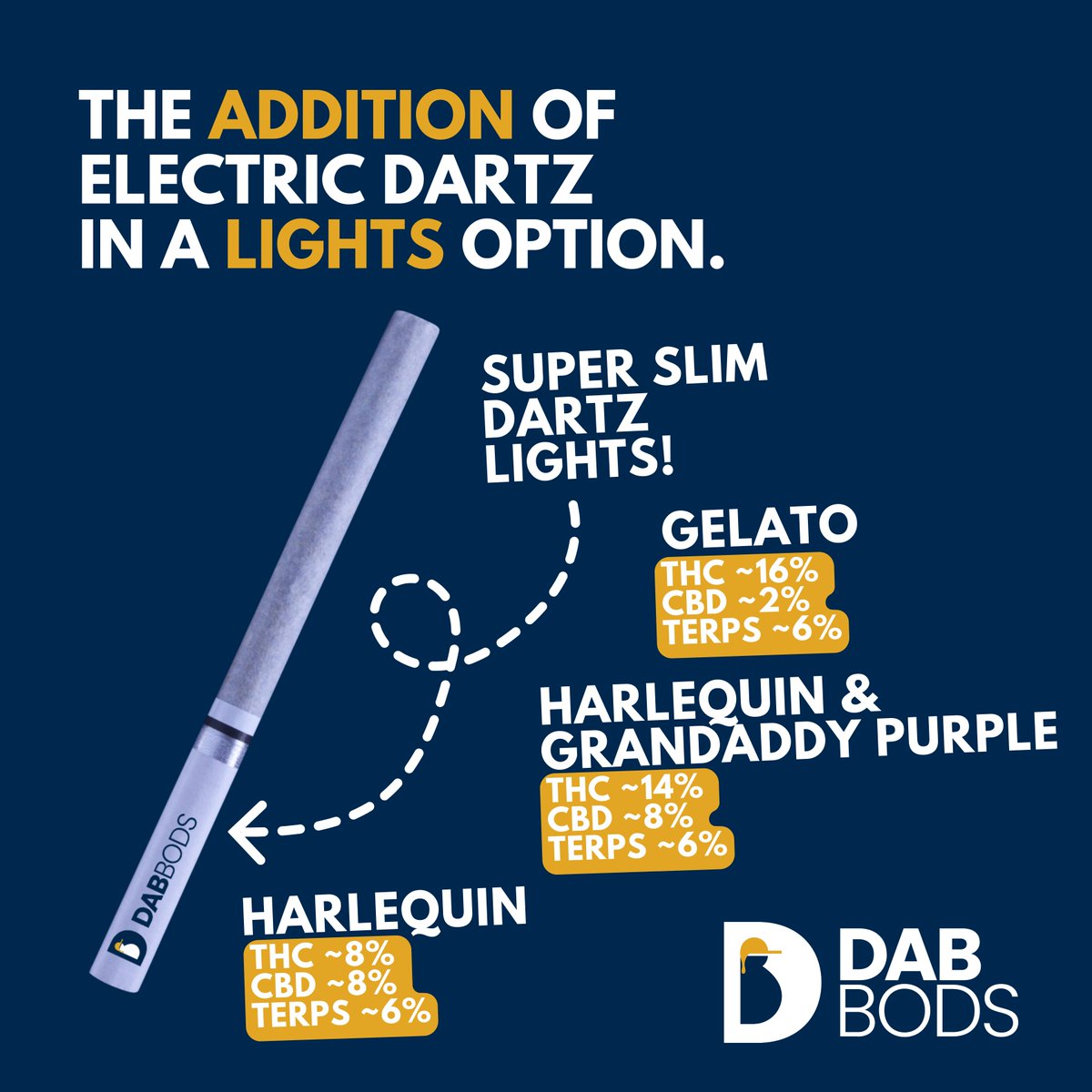 Dab Bods tweet media