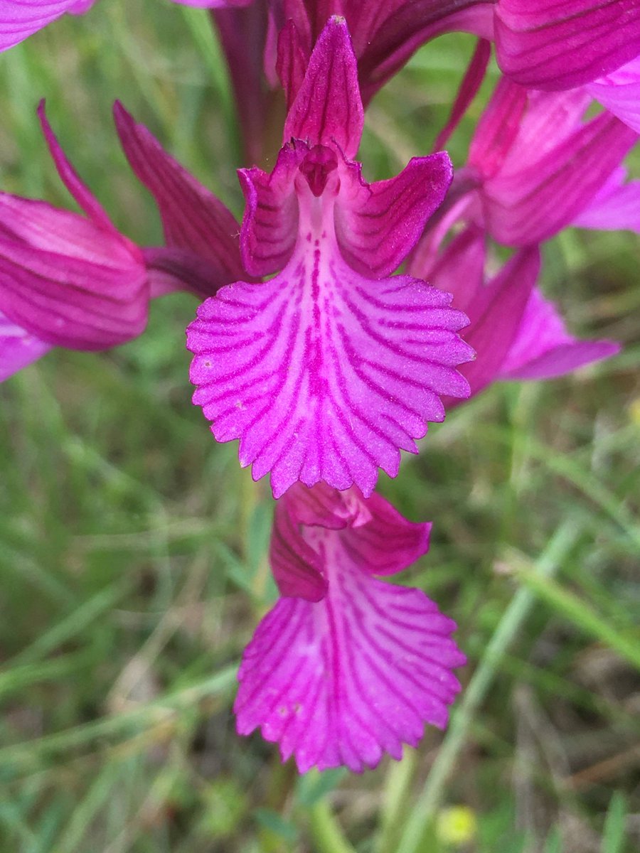 Tim Osborne tweet media