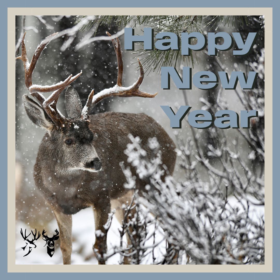 2024 was HUGE for wildlife! MDF celebrated major conservation wins, &amp; we launched the Blacktail Deer Foundation.
To our supporters, volunteers, &amp; partners: THANK YOU! Your efforts make it all possible.
Here’s to big plans &amp; thriving deer populations in 2025!