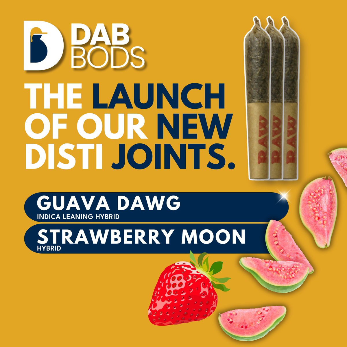 Dab Bods tweet media