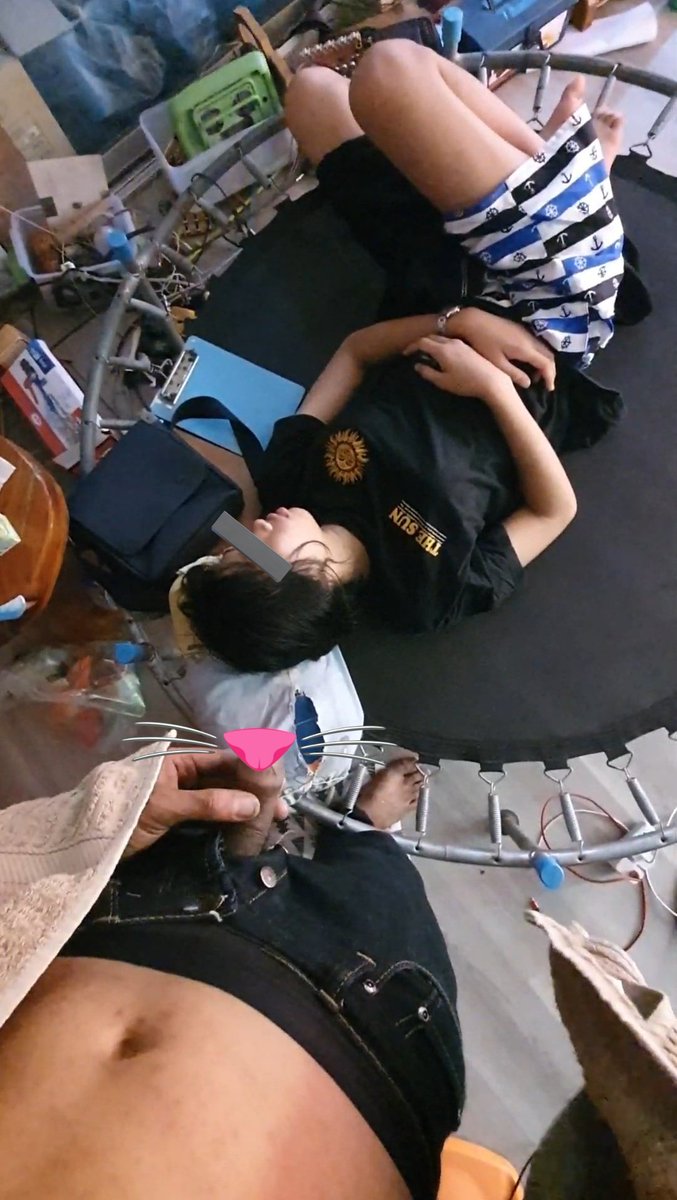 แมวน้อยสองตัว.🐯 tweet media