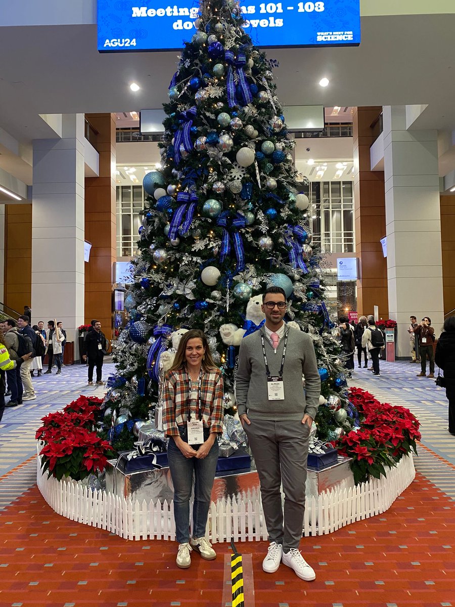 Alireza Ermagun tweet media