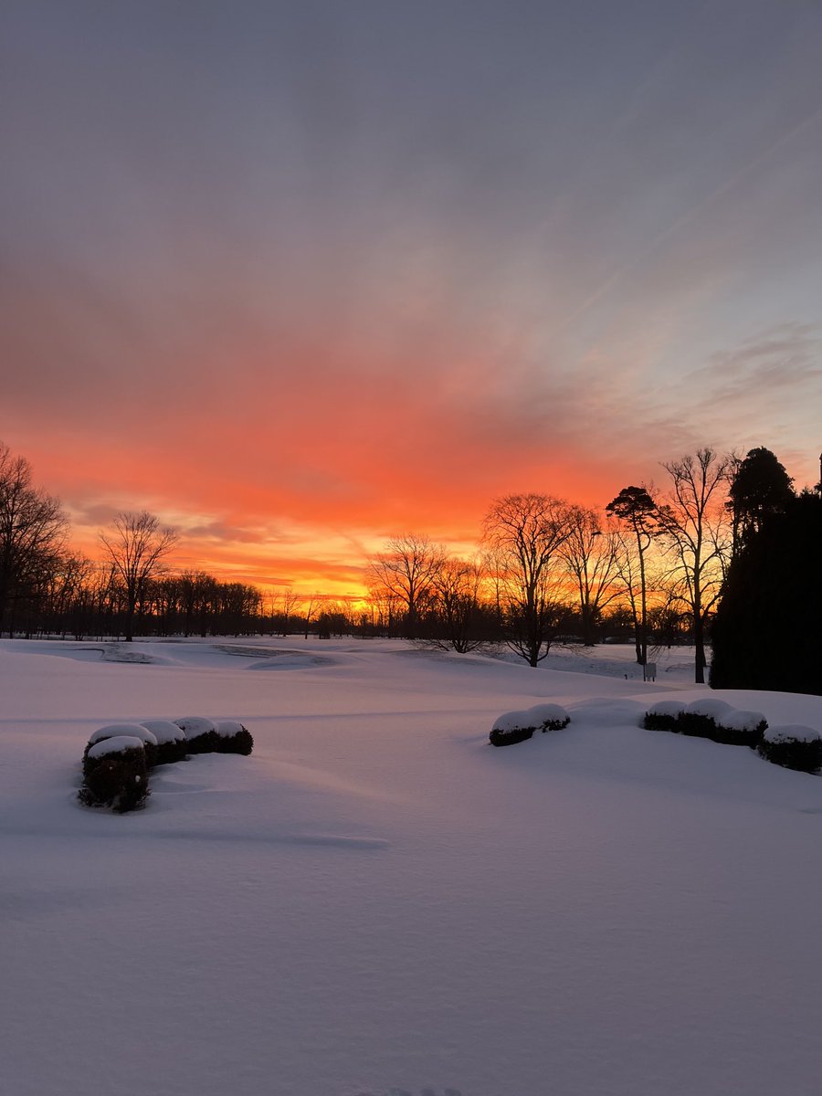 David LWebner tweet media