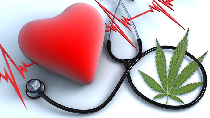 Cannabis Use Not Associated With Elevated Risk of Carotid Artery Calcification

People with a history of cannabis use do not possess higher rates of carotid artery calcification (CAC) in either middle age or older adulthood...

norml.org/news/2024/10/3…