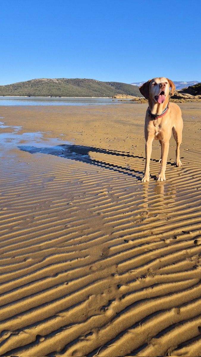 Kemal Kremic (@kemalkremic) on Twitter photo 