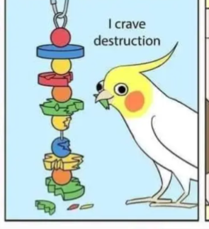 Hannah Hulbert ✍️ tweet media