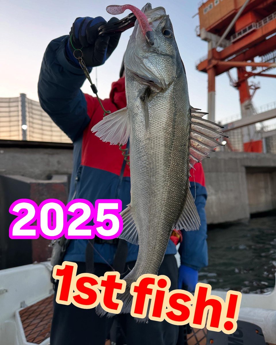 sugarmarin2022's tweet photo. 明けましておめでとうございます
皆様にとってサイコーの釣果に巡り逢える年でありますようお祈り申し上げます

#ボートシーバス#sugarmarin#名古��港#名古屋港シーバス#釣果#釣りガール#seabaka#釣りバカ#釣り女子#シーバス#ランカーシーバス
#釣りが好き #名古屋港ガイド船
#初日の出 https://t.co/73loLzRyZF