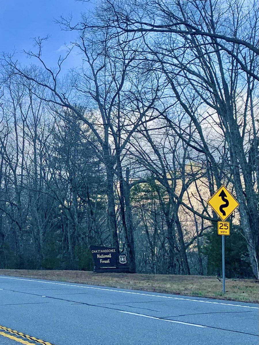 Sammy Flores tweet media