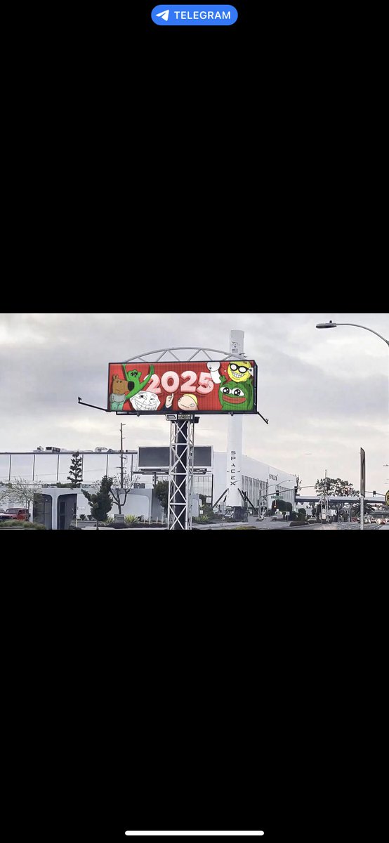 Chosen 1 tweet media