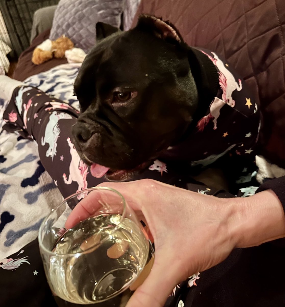 Elizabeth Padgett tweet media